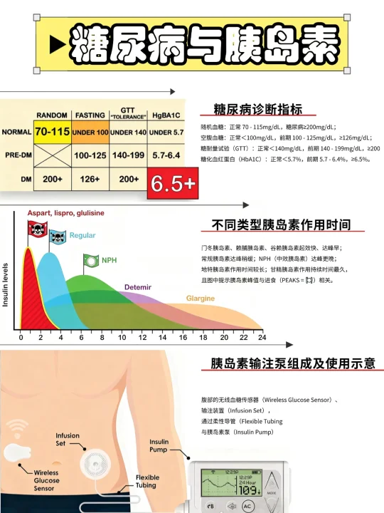备考RN/糖尿病与胰岛素！！学！！内容