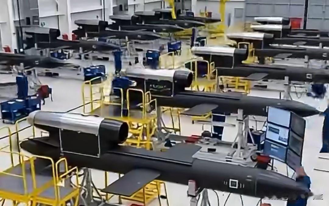 据乌克兰媒体，乌克兰新型“火烈鸟”巡航导弹正在改变战场态势。

报道称，该导弹射