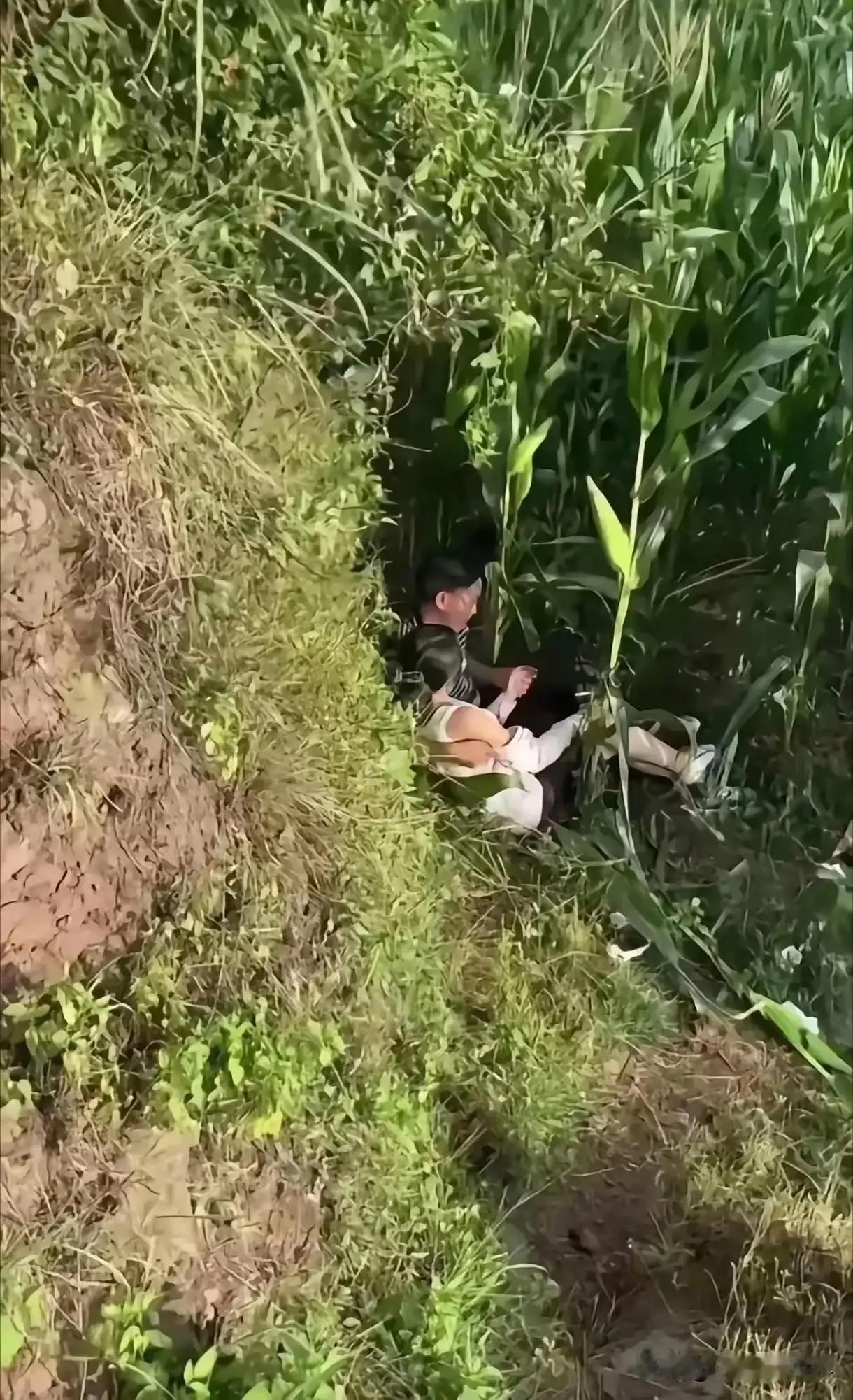 天若有情天亦老，人间有情正青春
年轻人帮助老人，能传承尊老爱老和成人之美的美德。