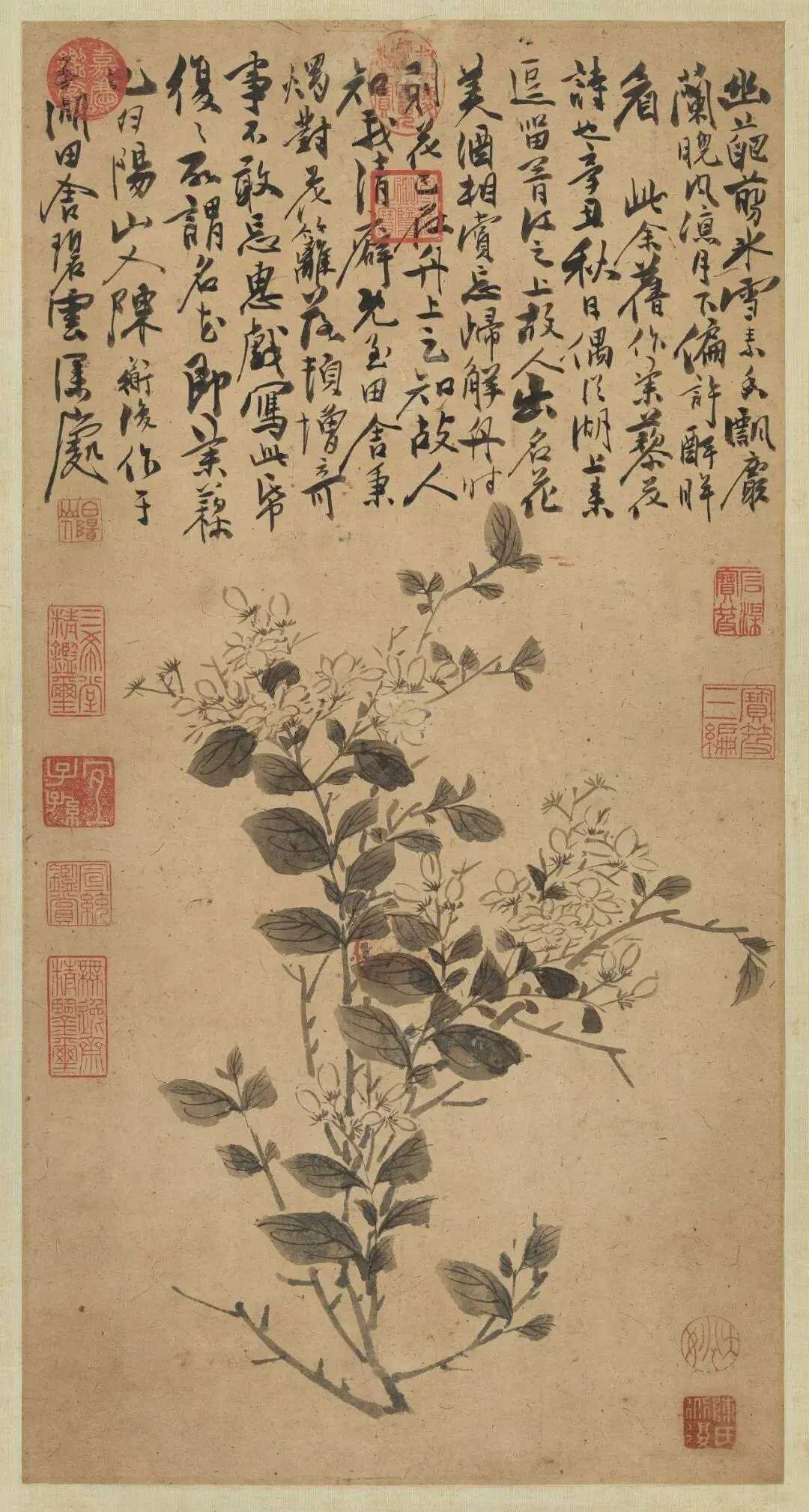 明 陈淳《茉莉图》，纸本 立轴 水墨 58.4x30.5 厘米，台北故宫博物院藏
