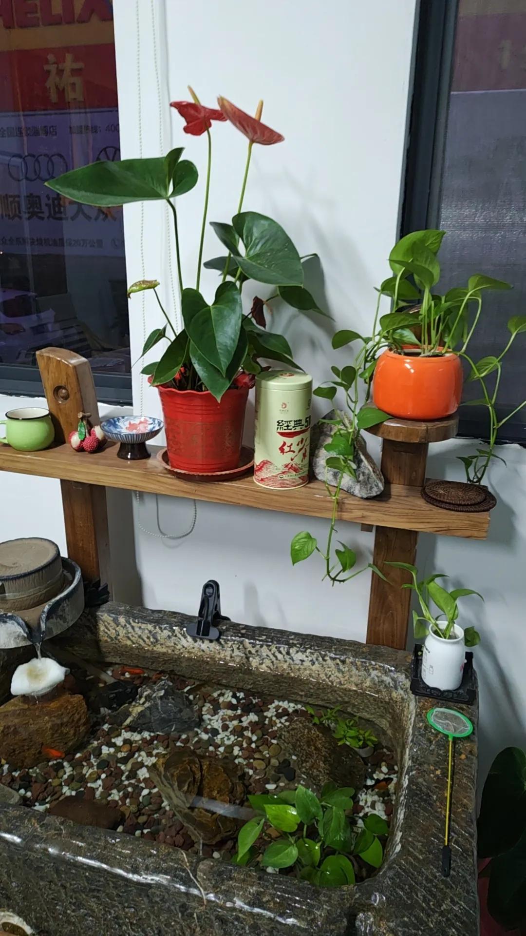 绿色，生意盎然~