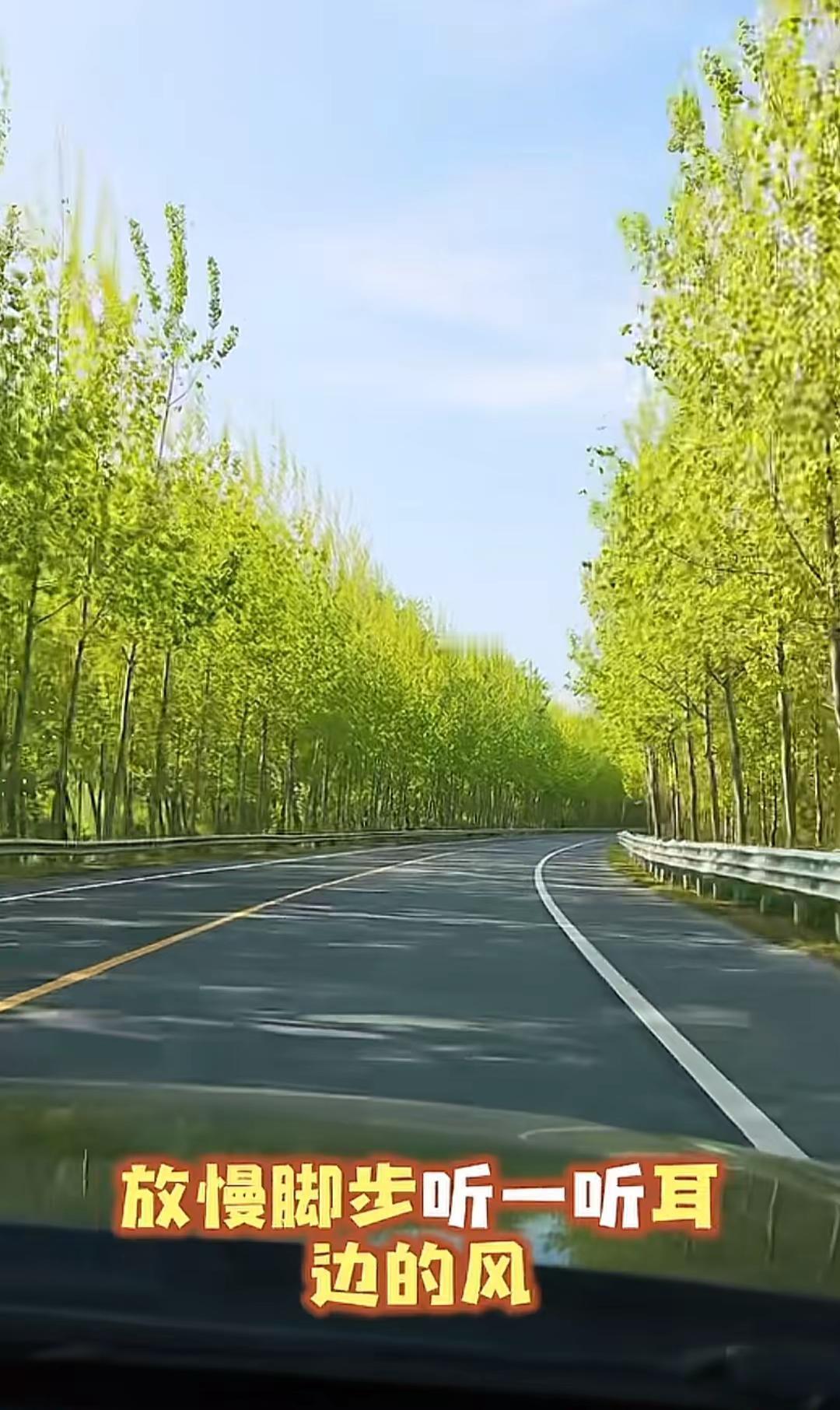 这一路都是风景 ，最好的季节，最好的歌。最美的家乡公路风景随拍