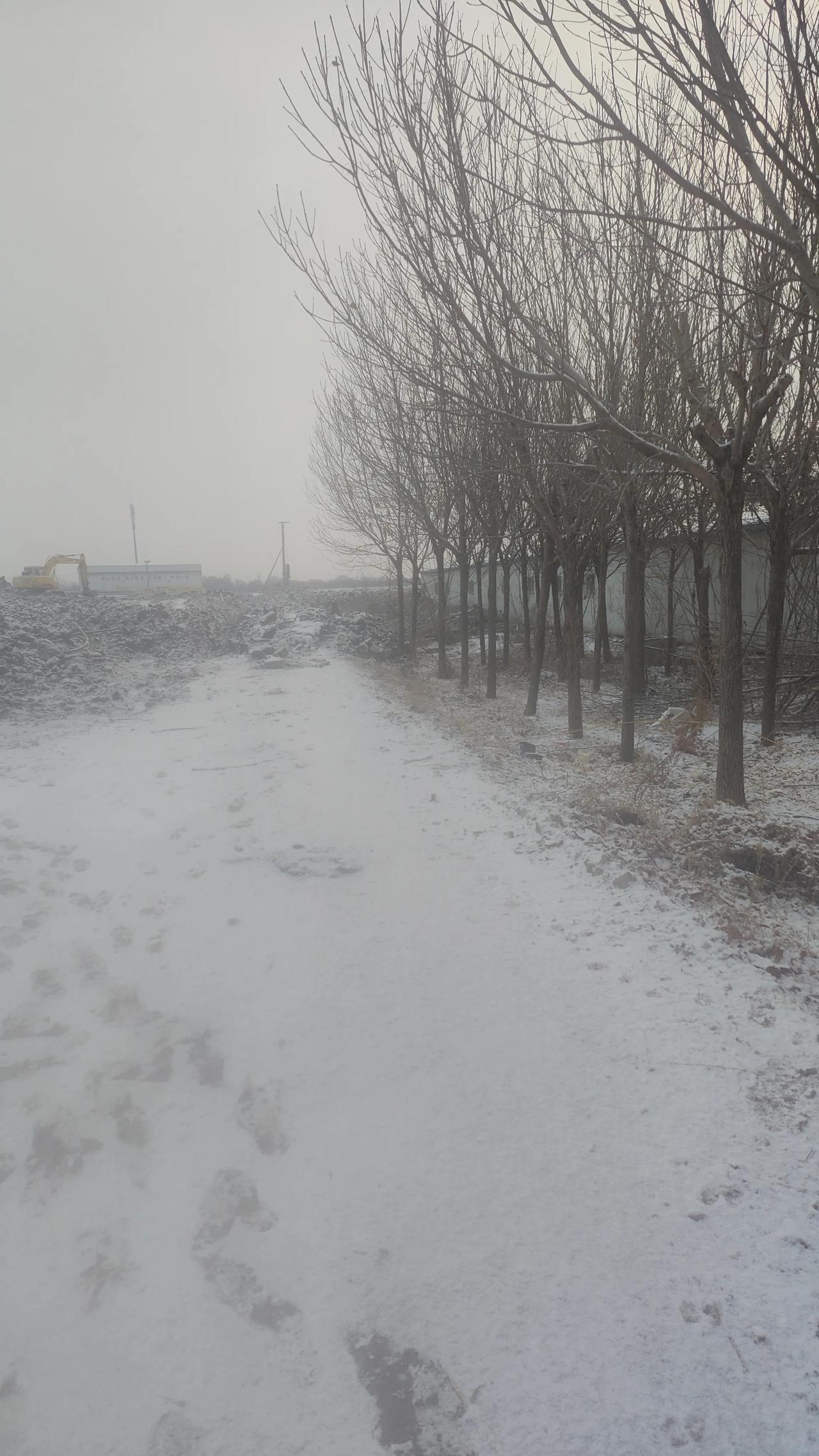 有空就跟朋友聚聚，吃顿火锅喝两杯，再抢张演唱会门票过过瘾。跨年夜能和家人一起看烟