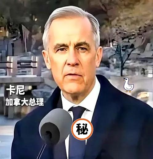 卡尼政府在2026年1月宣布取消对中国电动车加征的100%关税，恢复到6.1%的