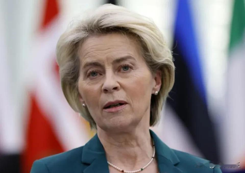 在欧洲议会上，冯德莱恩气愤的质问匈牙利总理欧尔班，中国警察在街上巡逻怎么说？这危