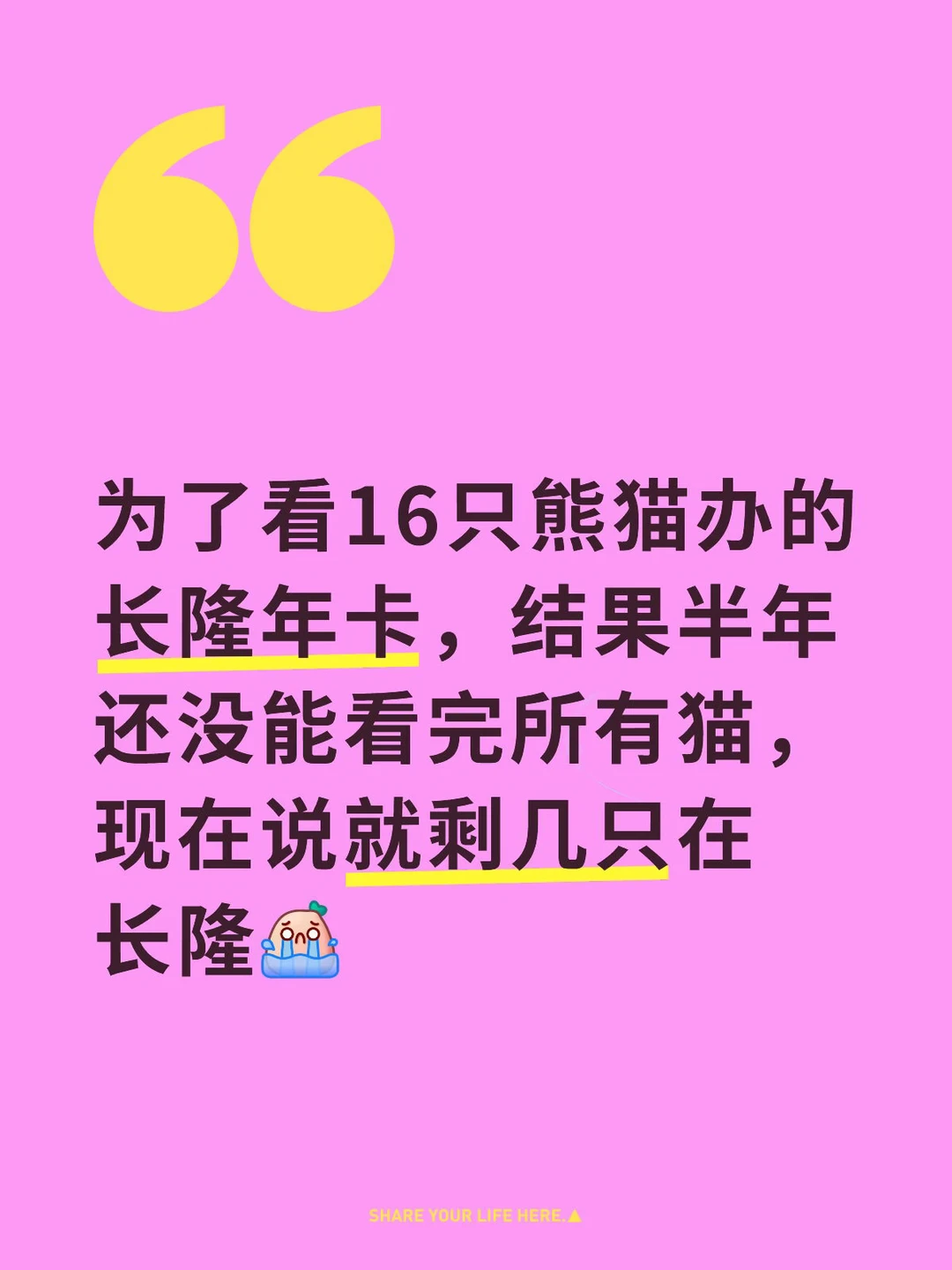 我的长隆年卡要亏本了