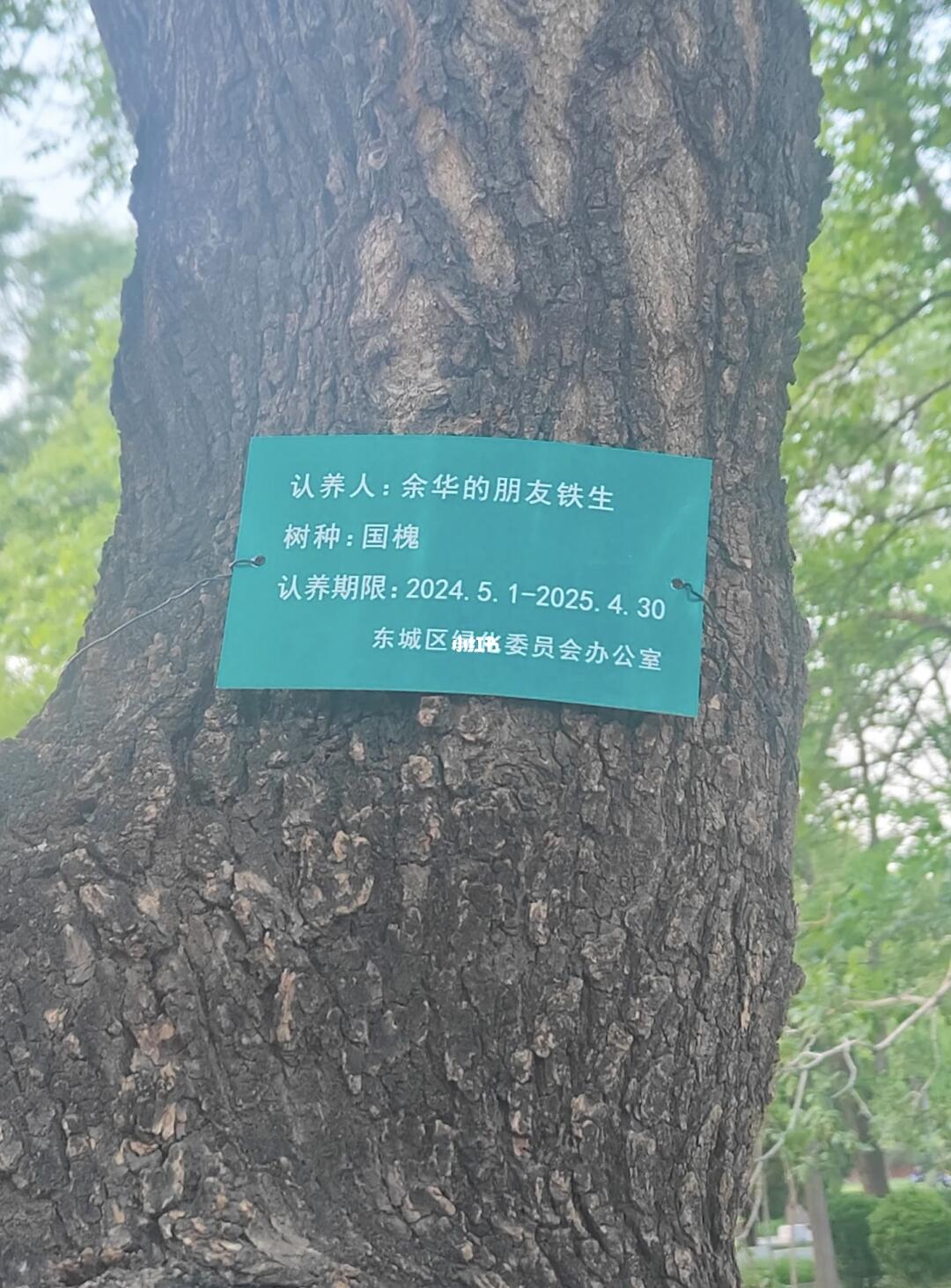 余华，全网在喊你续费