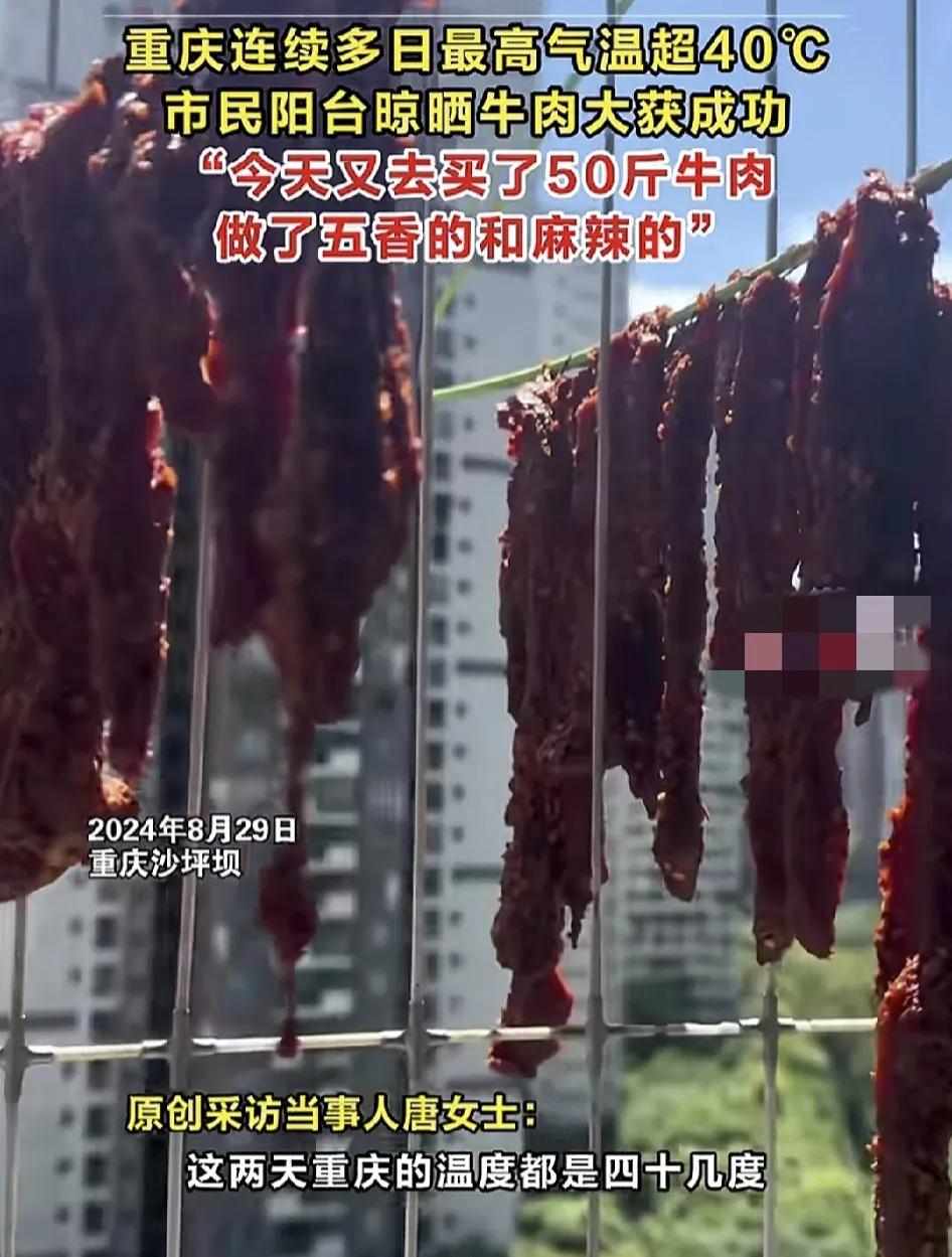 8月29日，重庆沙坪坝一女子晒出了自己在家晒牛肉干的视频。女子称这几天重庆的温度