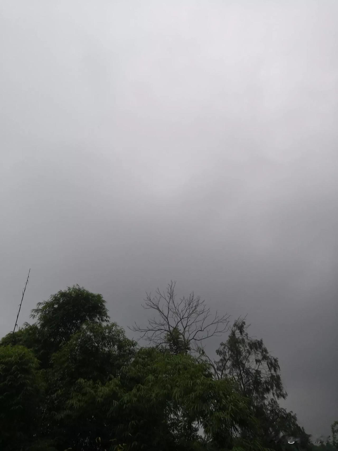 德阳市天气预报，德阳市旌阳区罗江区，广汉市，什邡和绵竹市，今天白天是阴天，今天晚
