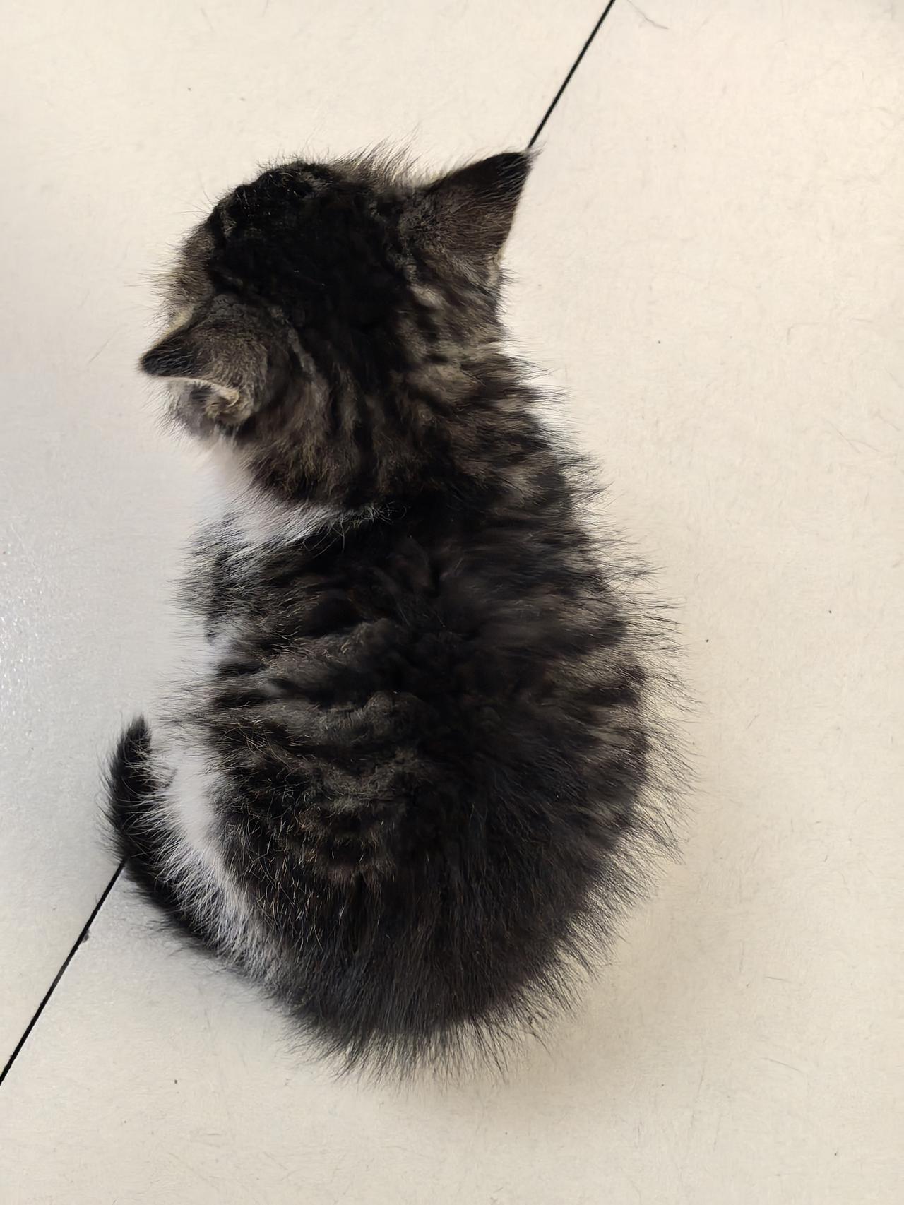 最近有个《海洋故事会》，说的净是一些娱乐圈的“黑幕”。
虽然没有直接点名道姓，但