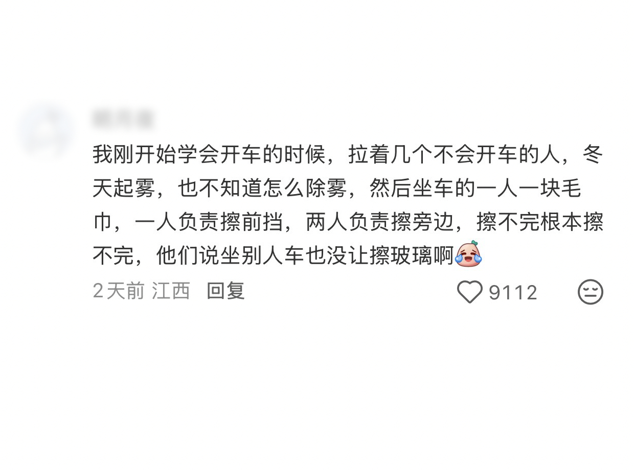 这一路，大家不是来坐车的乘客，是冒着生命危险帮忙除雾的人力资源啊[允悲]工作痛苦