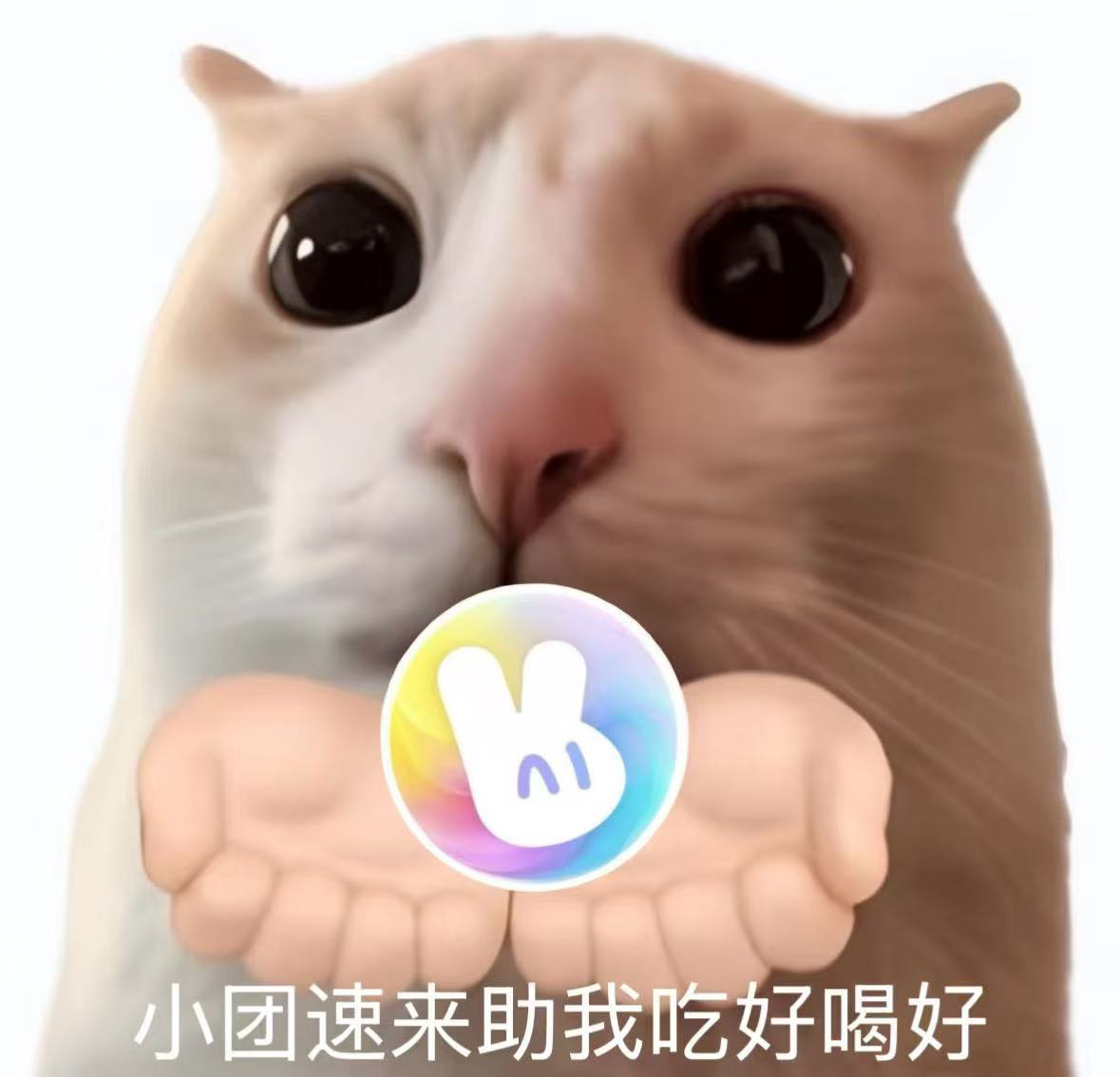 开麦问美团吃喝玩乐都安排本来只想看歌手抽取出场顺序，结果直接扒出全员旅行人格！美