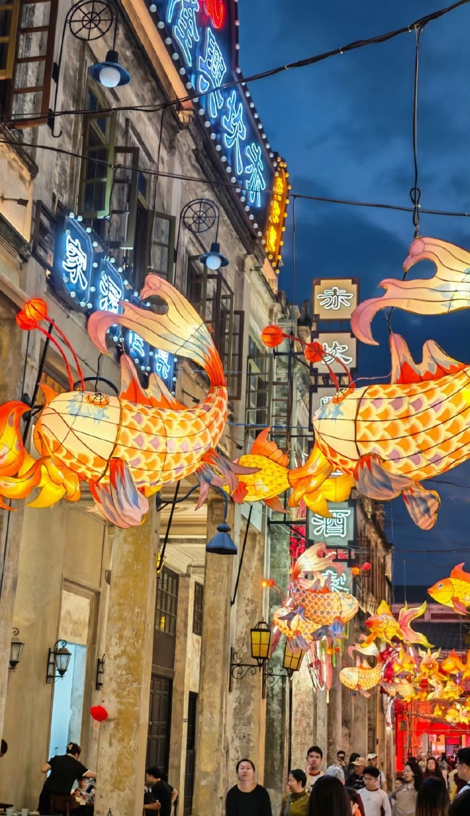 带了荣耀 Magic8 Pro 手机来拍照，3.7 倍光学变焦还是很清晰