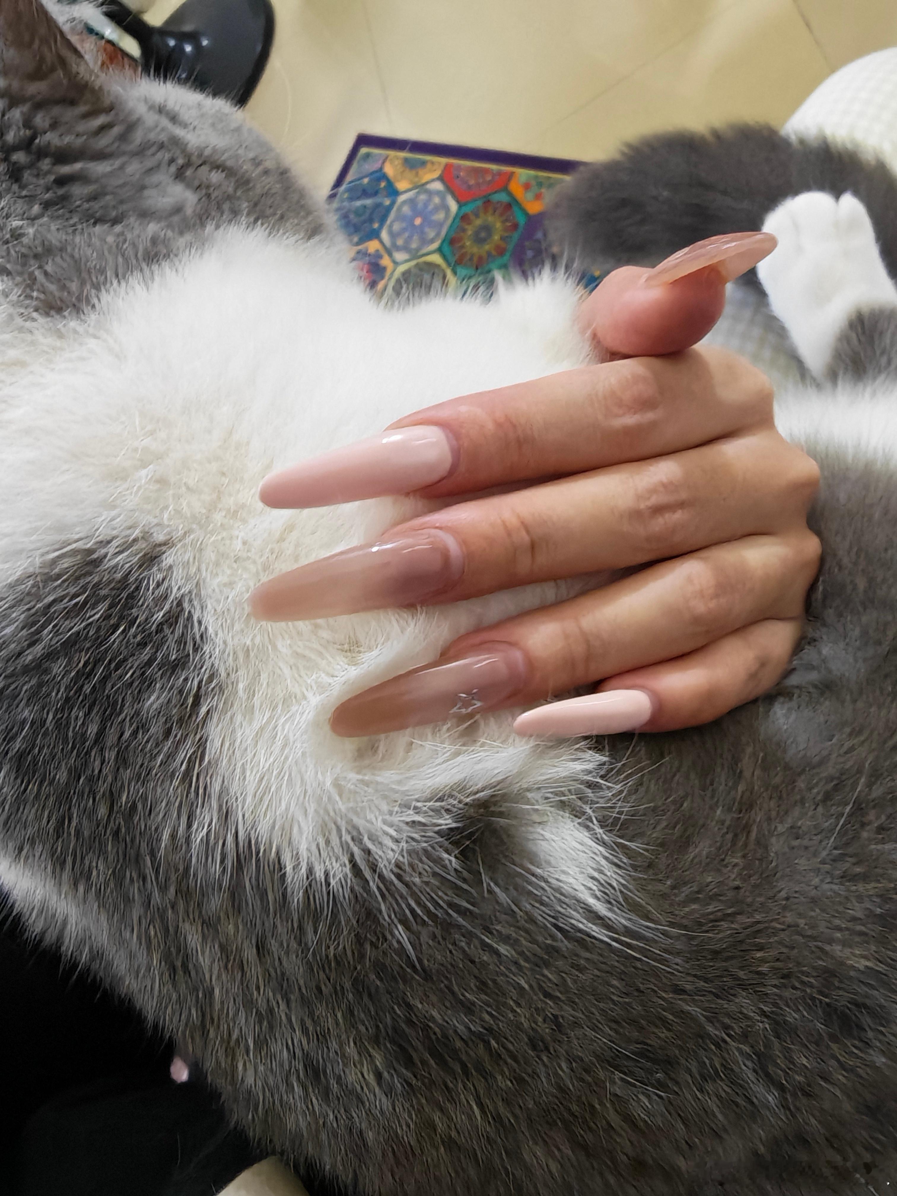 过年做美甲别窝囊做了个最长的美甲回家，家务那些基本不用做了，因为只会帮倒忙