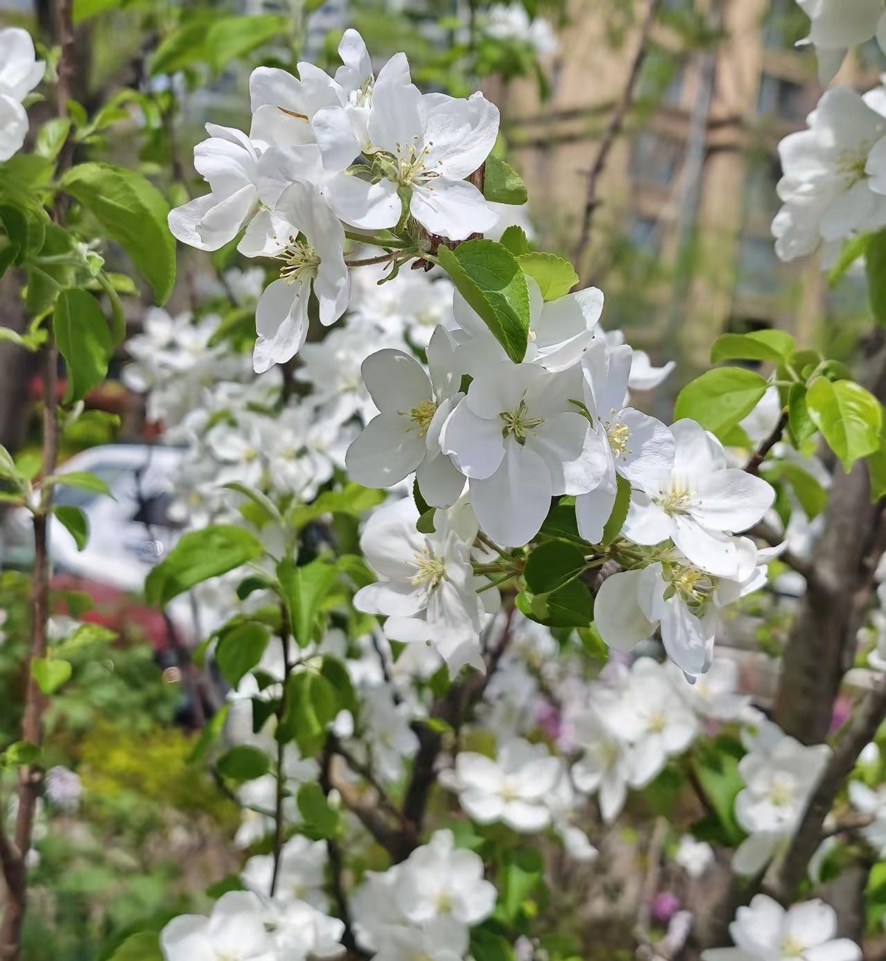 突然想通一件事：

很多人压根没意识到，家里一日三餐有人买菜、做饭、收拾，把一家