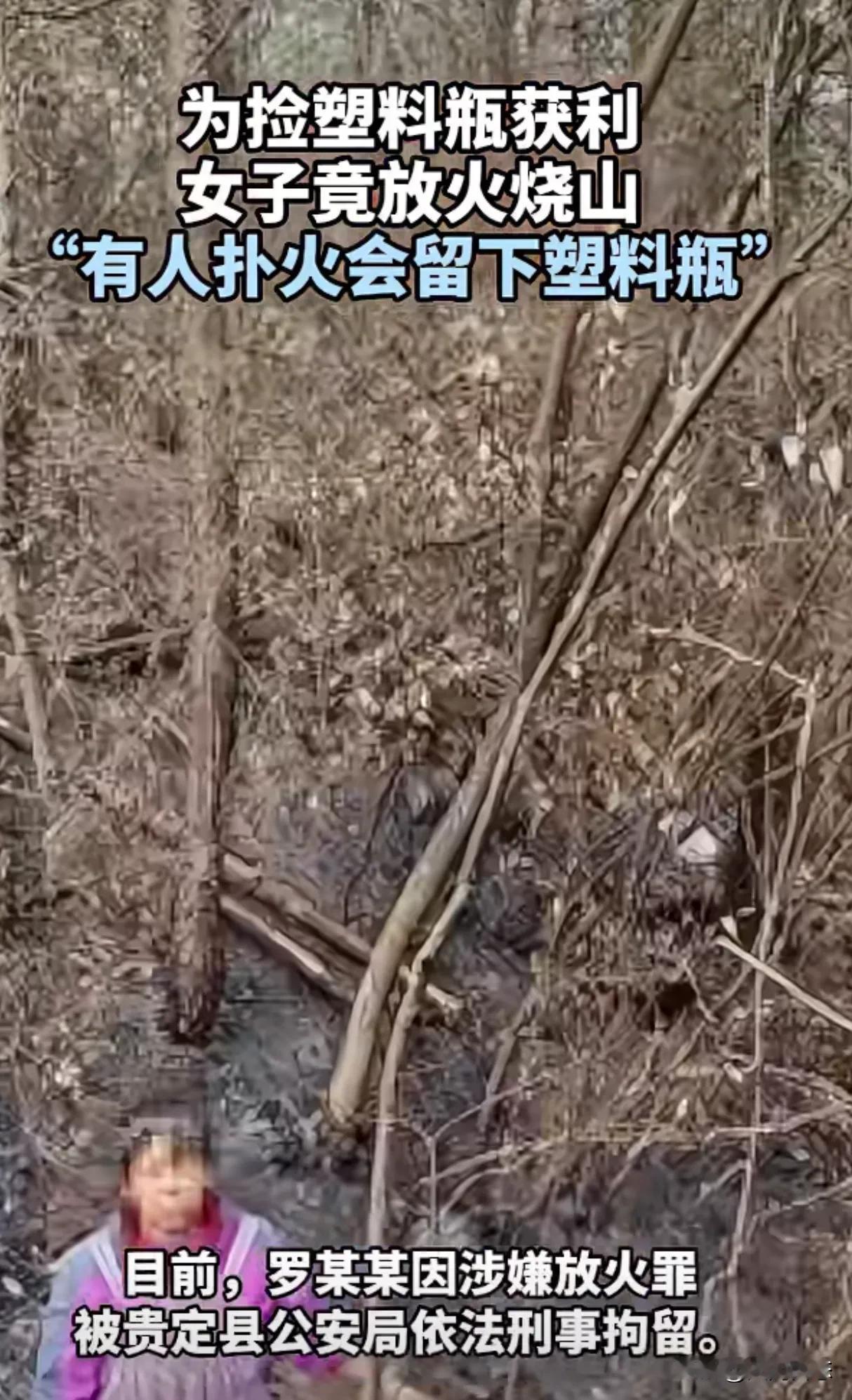 四川一女的太奇葩，放火烧山只为捡瓶子
2024年12月10日贵州贵定县报道

哪