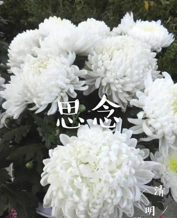 清明难补一生憾
 
作者  程峰

又逢清明雨纷纷
思念双亲绕心魂
遥望故园泪沾