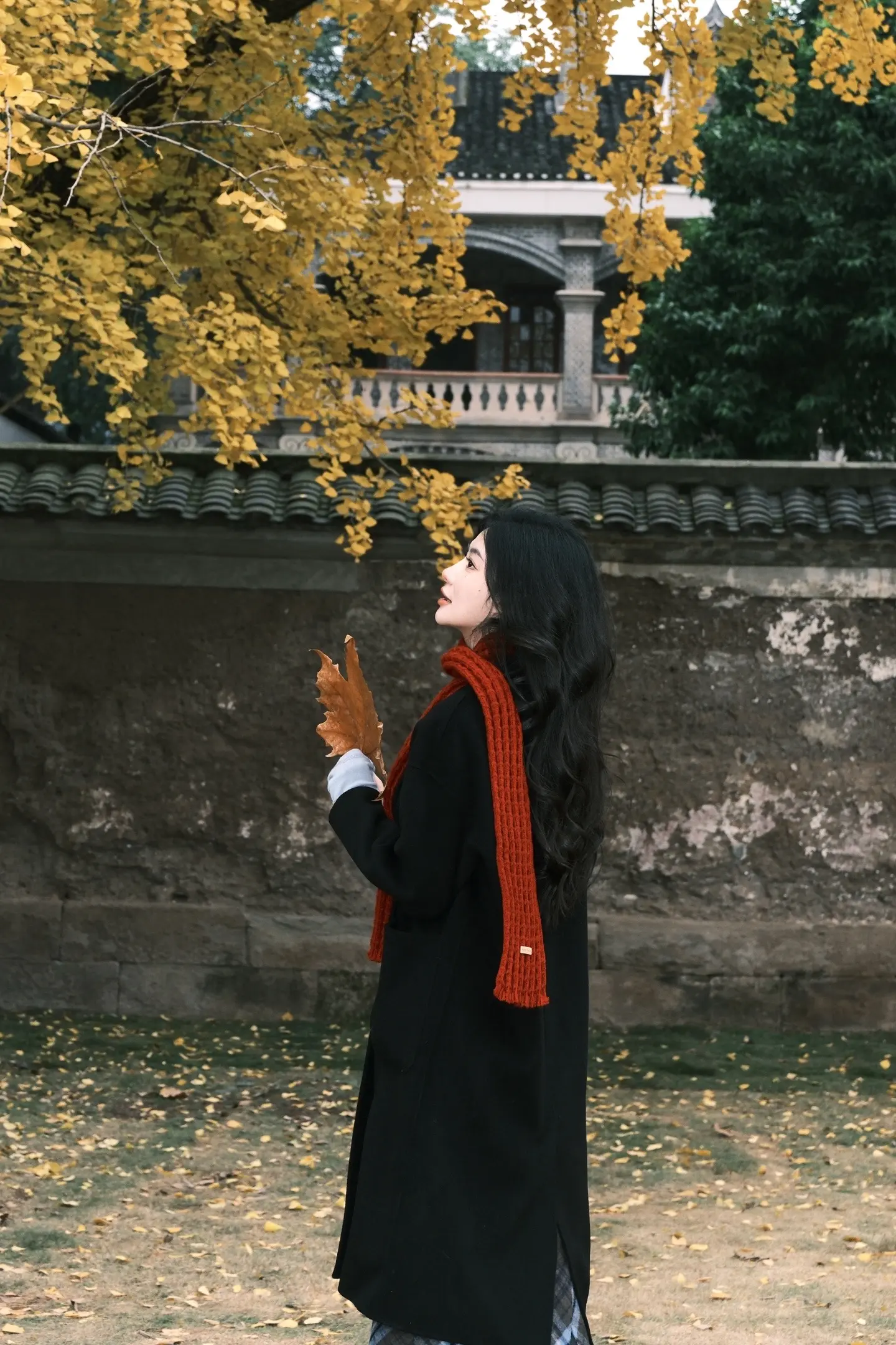 又到浪漫的12月