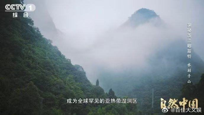 原来贵州曾是大海 贵州山顶发现亿万年前珊瑚化石 贵州茂兰白岩坡山顶，石炭纪珊瑚化