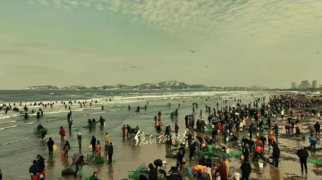 太疯狂了啊！一天溺水6任都挡不住烟台海边捞海肠 的大军，都不要命了吗？一天的功夫