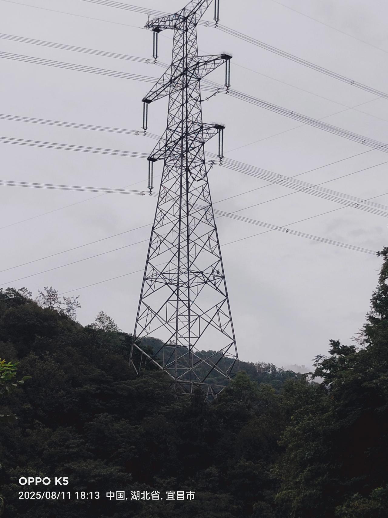 抖音创作者大会