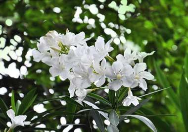 19岁少年错付1010元车费自杀！司机拒退还泼脏水，法院判决太意外
19岁河南小