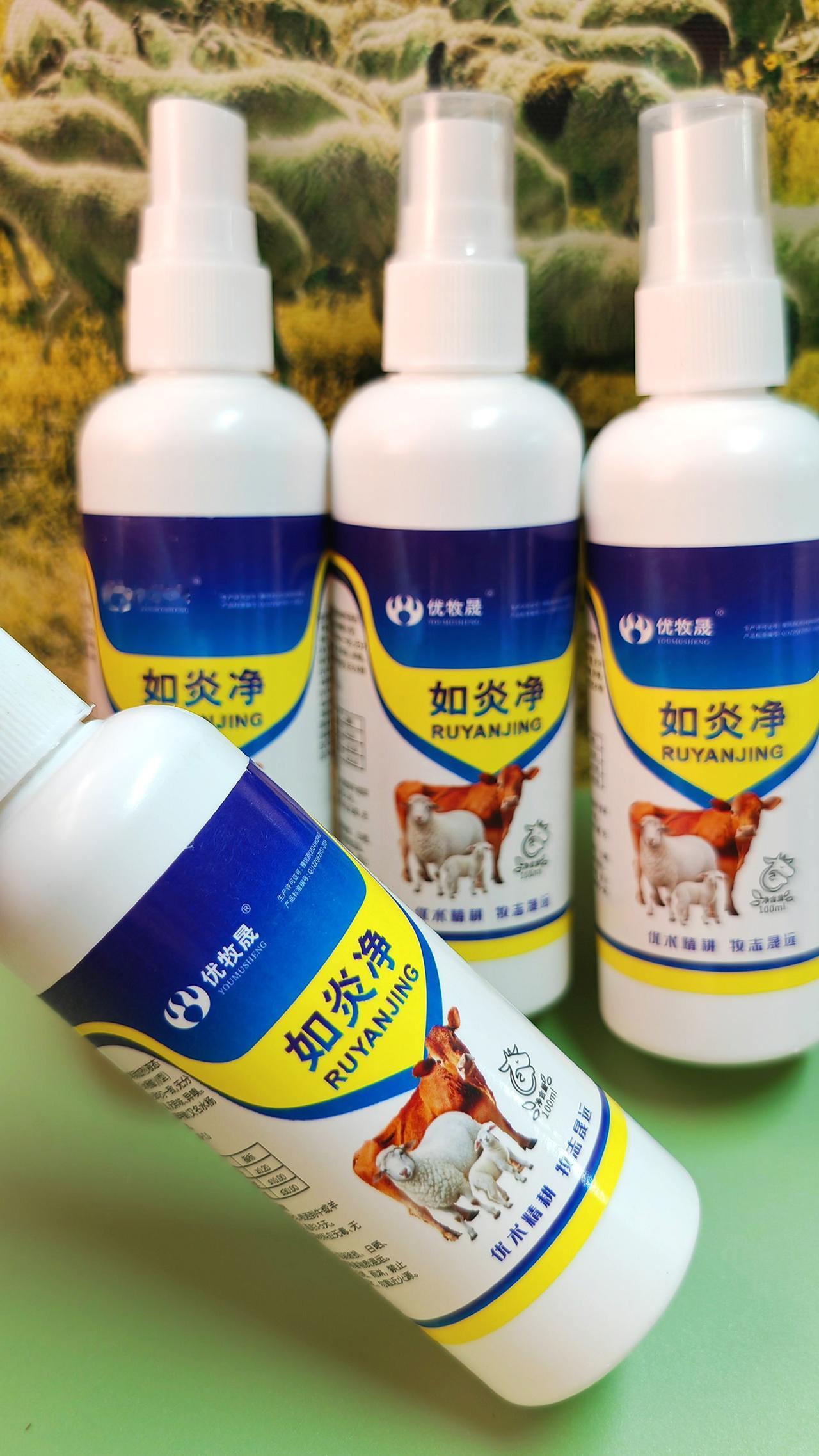 养羊人 牛羊乳房炎 农村养羊 牛羊养殖