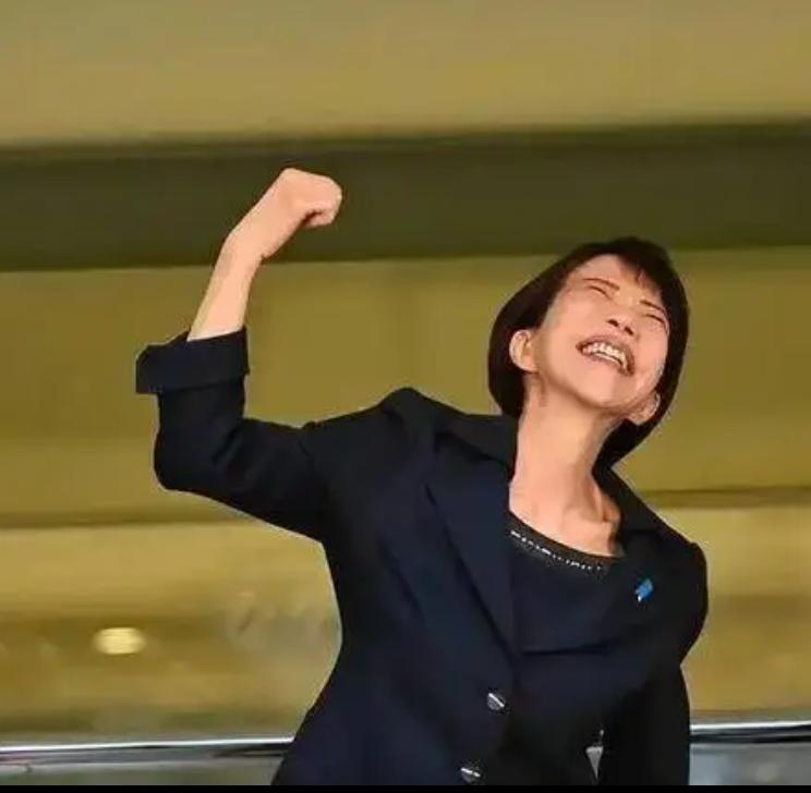 2026年日本第51届改选高市大胜

高市早苗领导的自民党单独拿下234席，超过