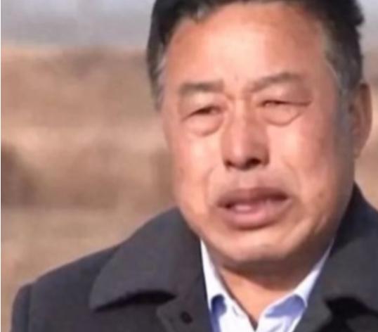 你见过会跟着大雁迁徙的家鹅吗？黑龙江肇东市的张信大爷，就遭遇了这听起来像段子的真