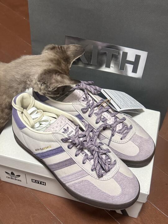 🇯🇵是谁买到了最后一双KITH x AD紫色💜