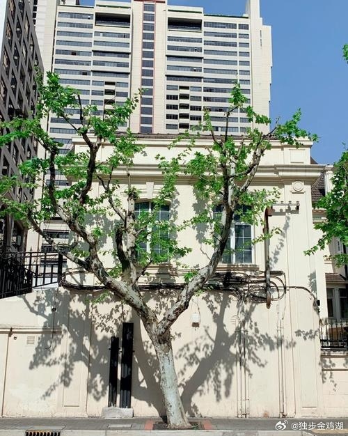 心里话       用宽容当收入，拿计较作支出……   