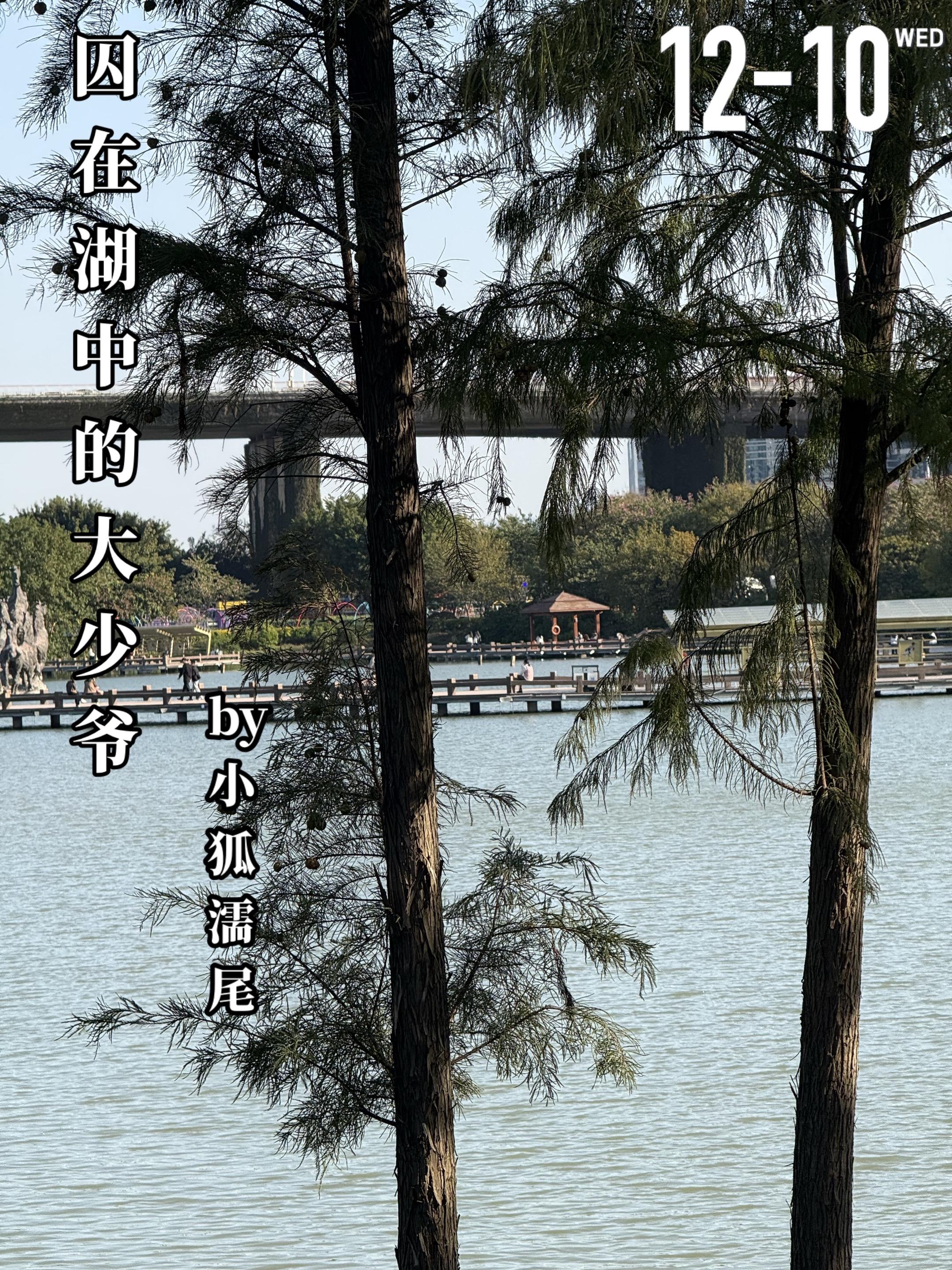 《囚在湖中的大少爷》by小狐濡尾。少女朱尾（深衣）生于大洋之上，深受父...