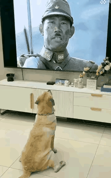 爱国热情彻底被点燃了～