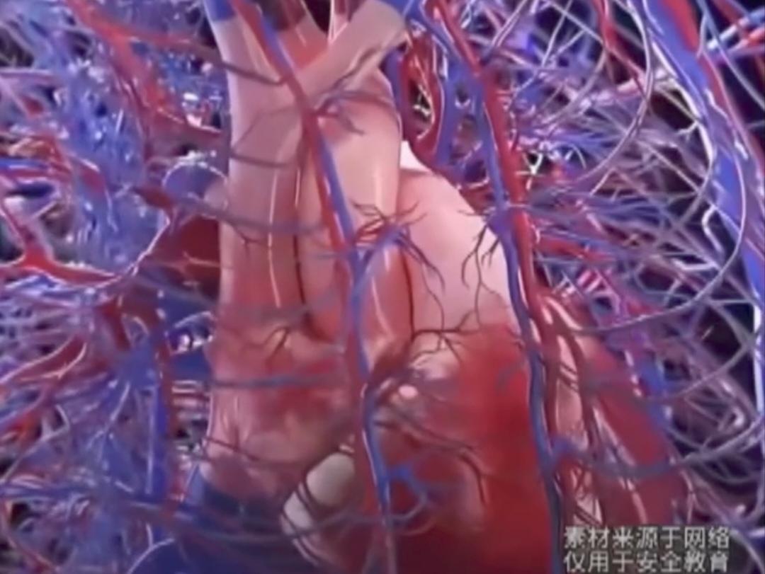 为什么人贩子又开始盯着小孩了，很简单，人体是一个行动的“千万富翁”。有些买卖透露