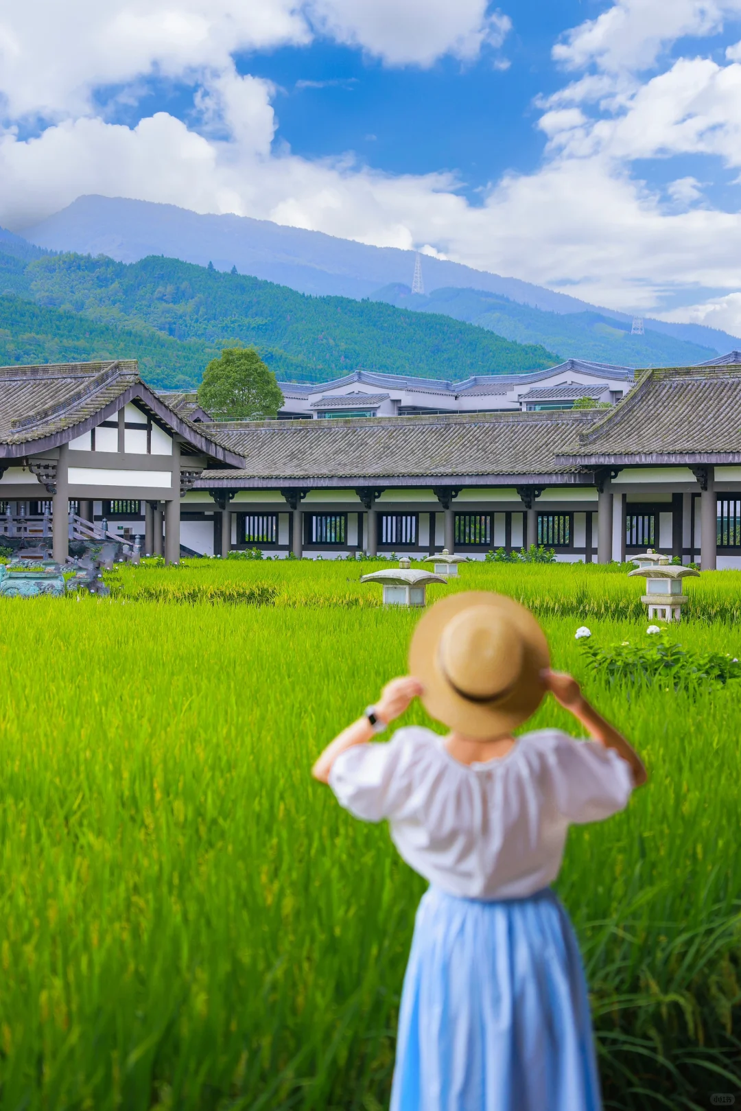 不在京都在眉山！光明寺可真太美啦‼️