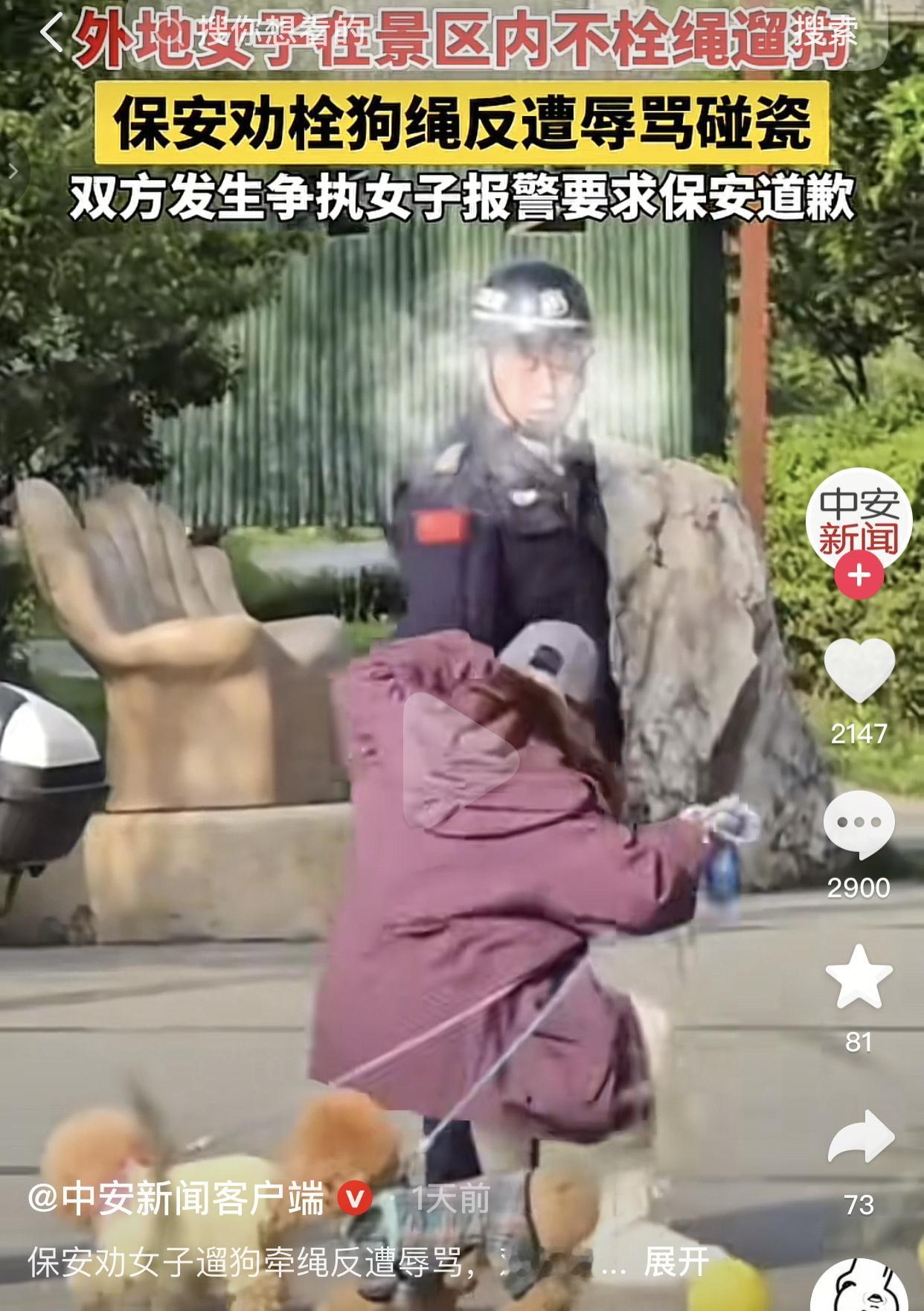 景区遛狗不拴绳，保安劝阻反被骂，转头余光瞥见有人拍视频立马一屁股坐地上装委屈。