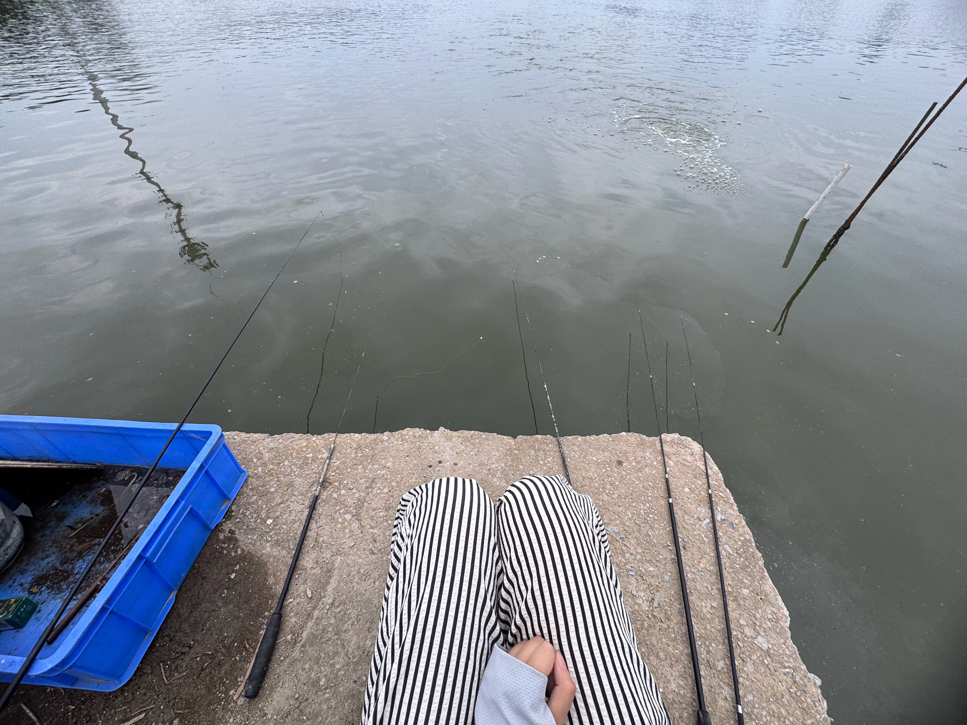 陈氏钓🦐   一人5杆  愿者上钩
