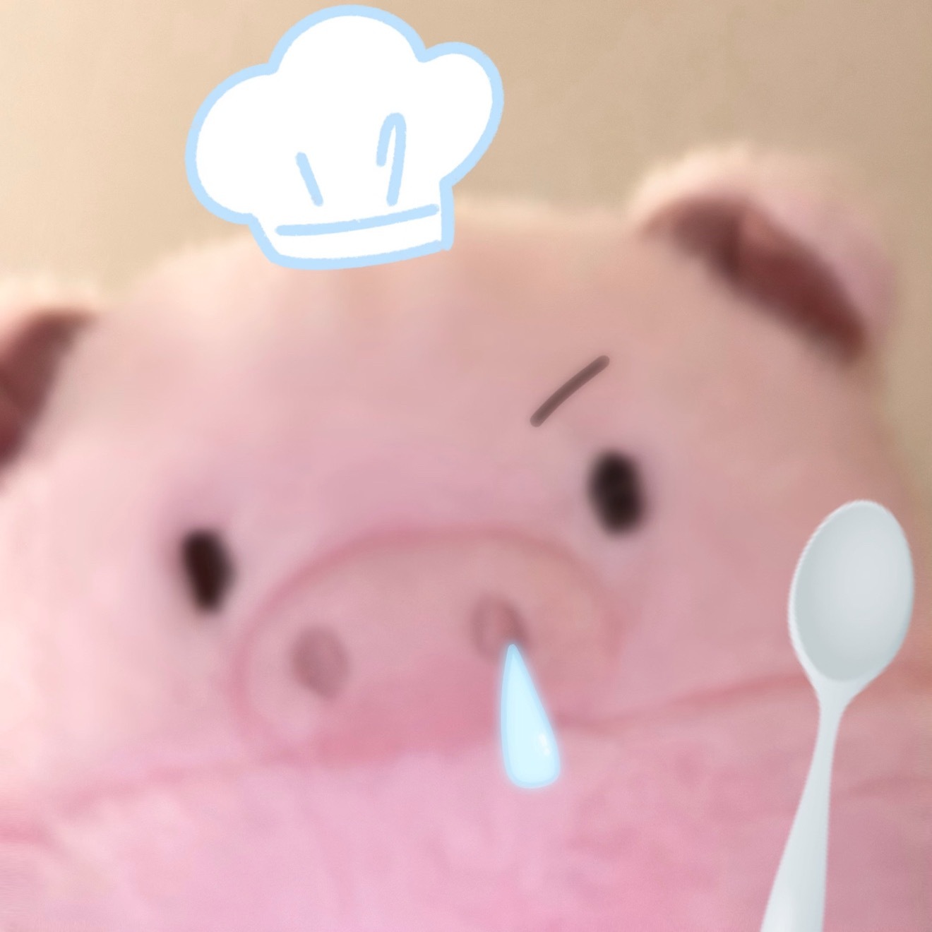 分享一组自存的可爱萌物头像 