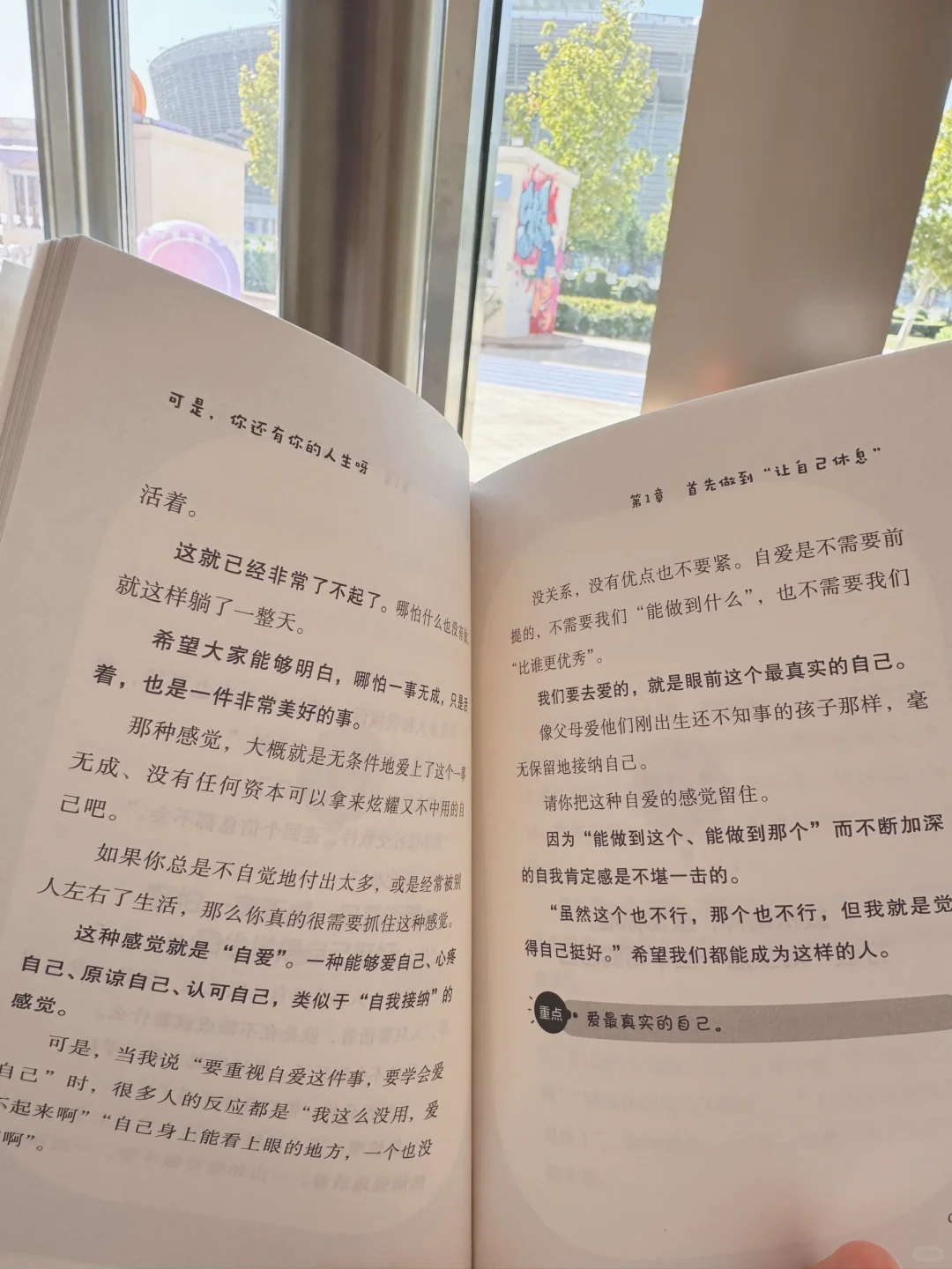 今年读的超治愈书‼️是我压力大奔溃时的救赎