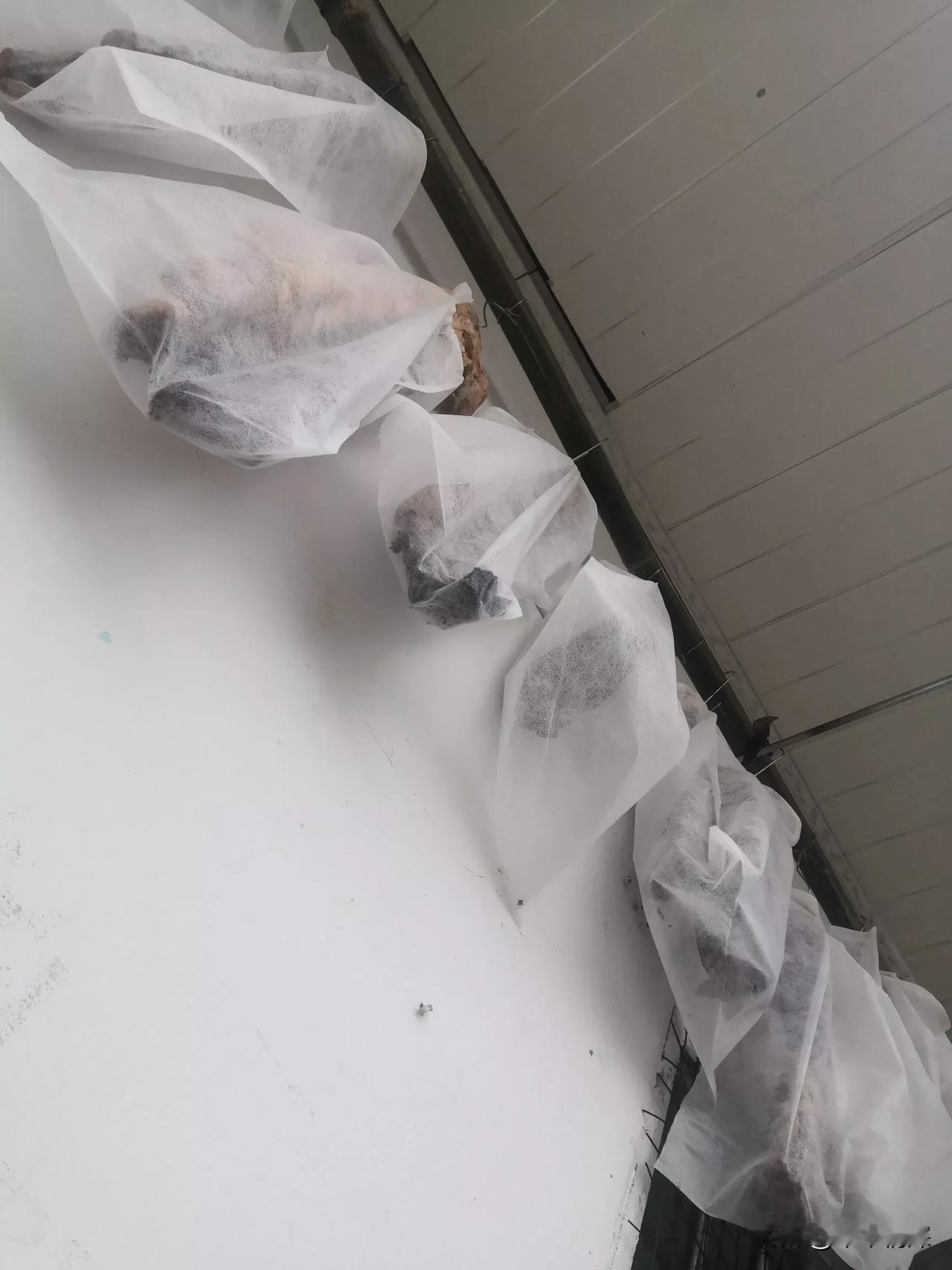 我新发布的内容被官方推荐啦！👍你也快来发布一条吧！带