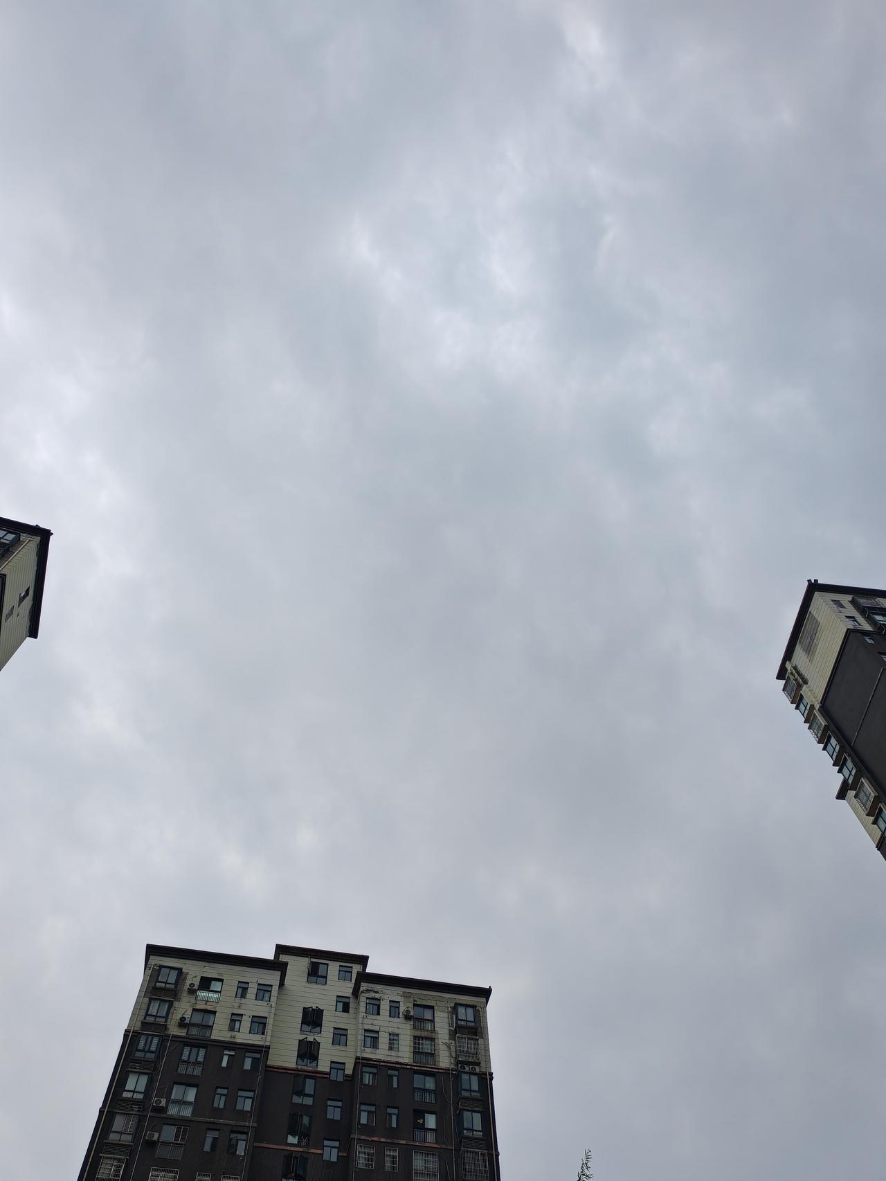 7月19日，武汉阴天有小到中雨，最高气温29度，最低气温25度，无风，湿度87%