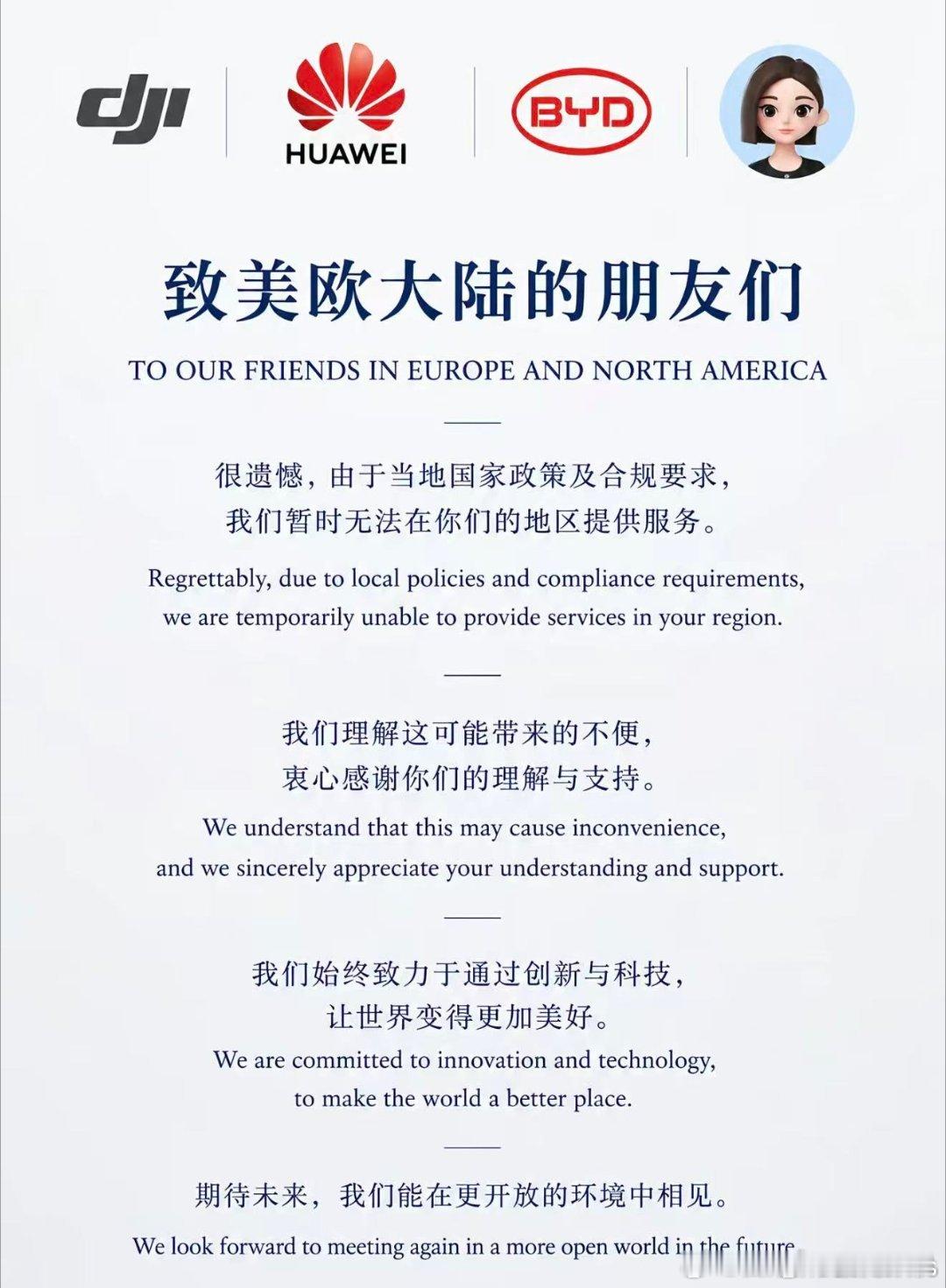 前两家可是正儿八经全球企业，海外营收都半数那种。这图是什么鬼东西啊？而且大疆是欧