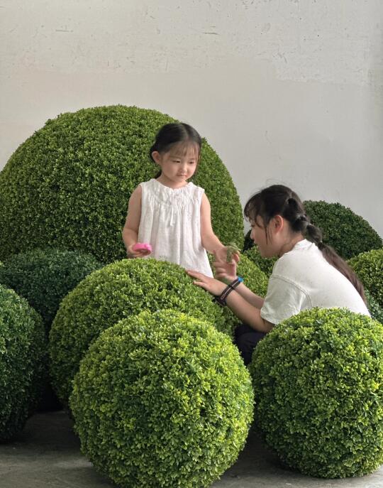 闯入绿植小行星带啦💚