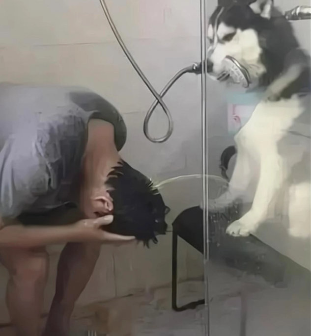 挺聪明的 还会加大水量 ​​​