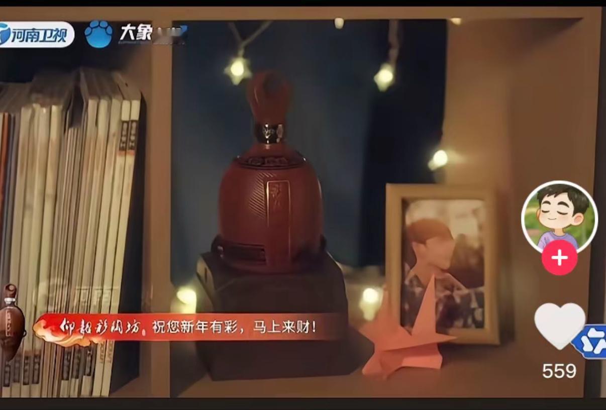 河南春晚我真的会哭