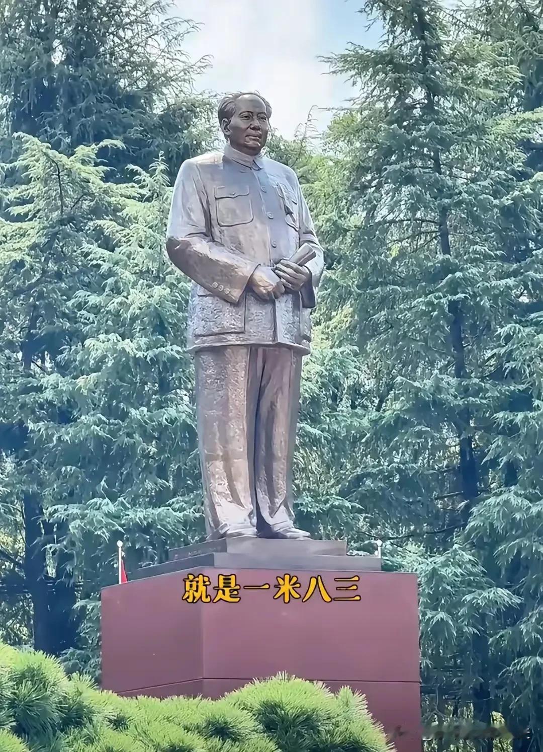 听朋友讲了个韶山的怪象，乍一听简直违反人类本能。​好几万人挤在广场上，愣是没一个