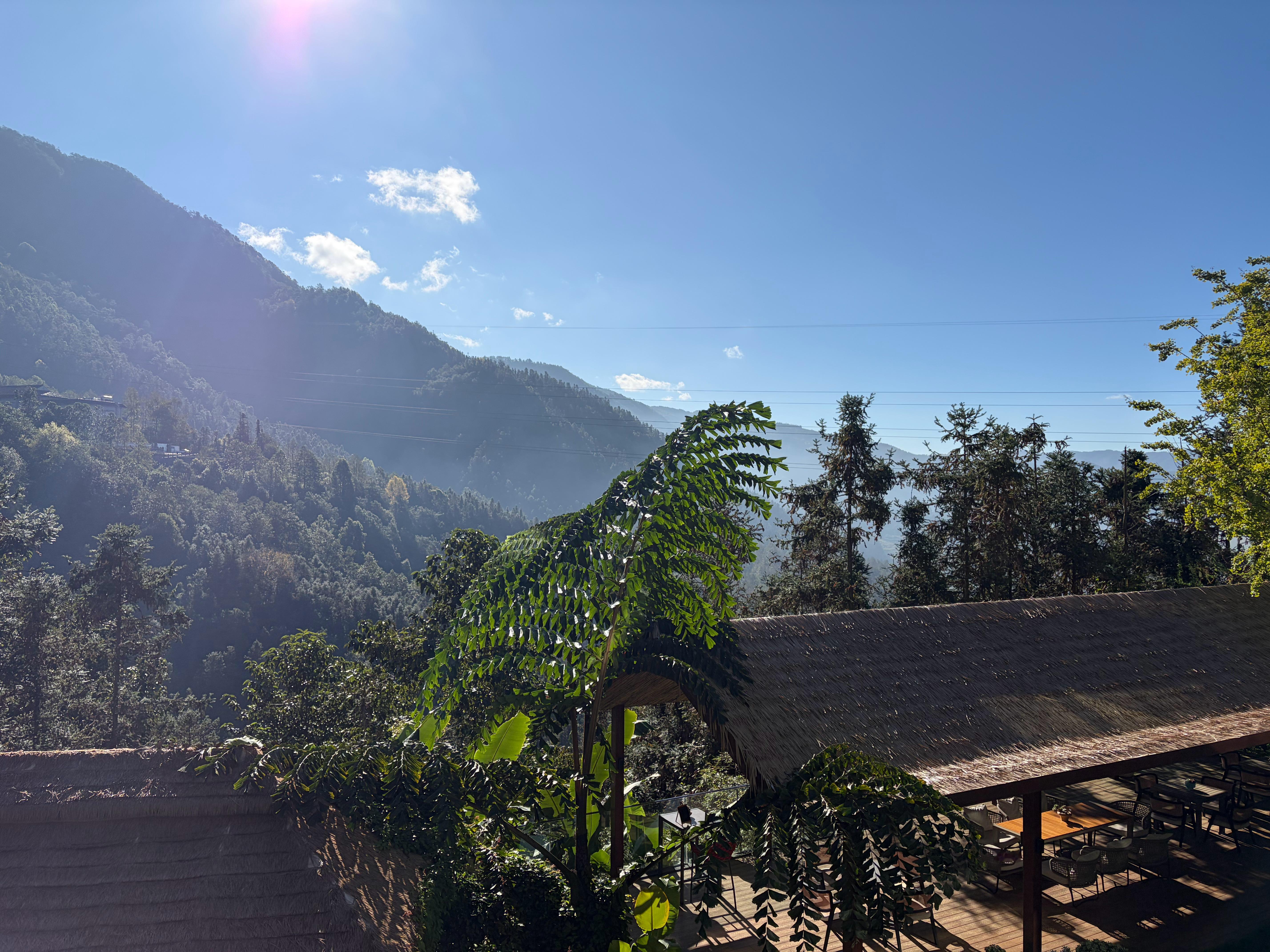 喝杯咖啡，再享受一会儿阳光，一会儿就要撤退了！[嘻嘻]  ​​​