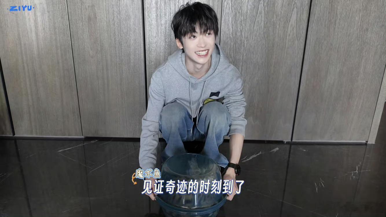 心疼小猫为什么要这样对待小猫
