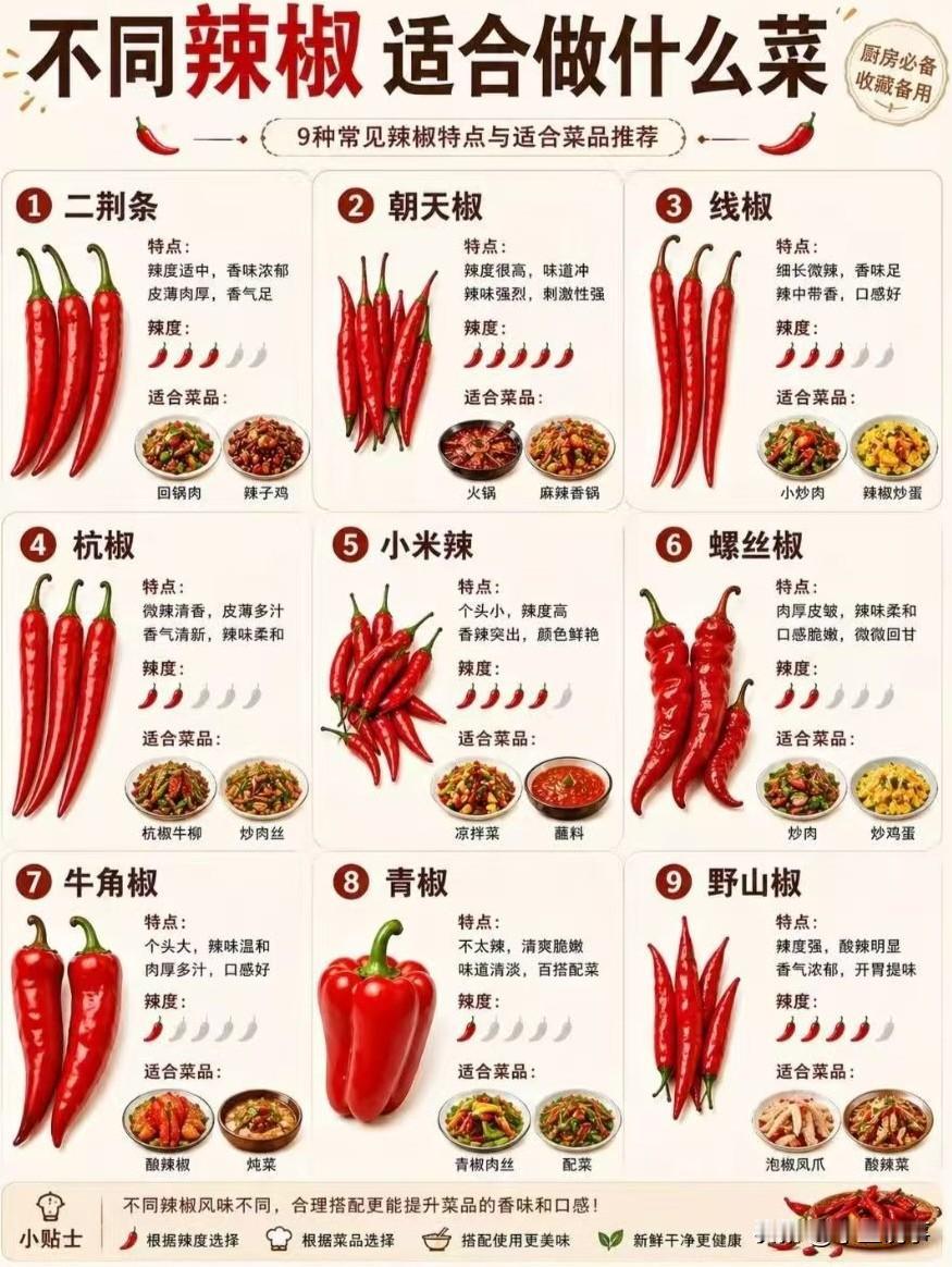 不同的辣椒适合做什么菜
作为广西的沿海人，我其实不怎么懂辣椒，因为北海这边不怎么