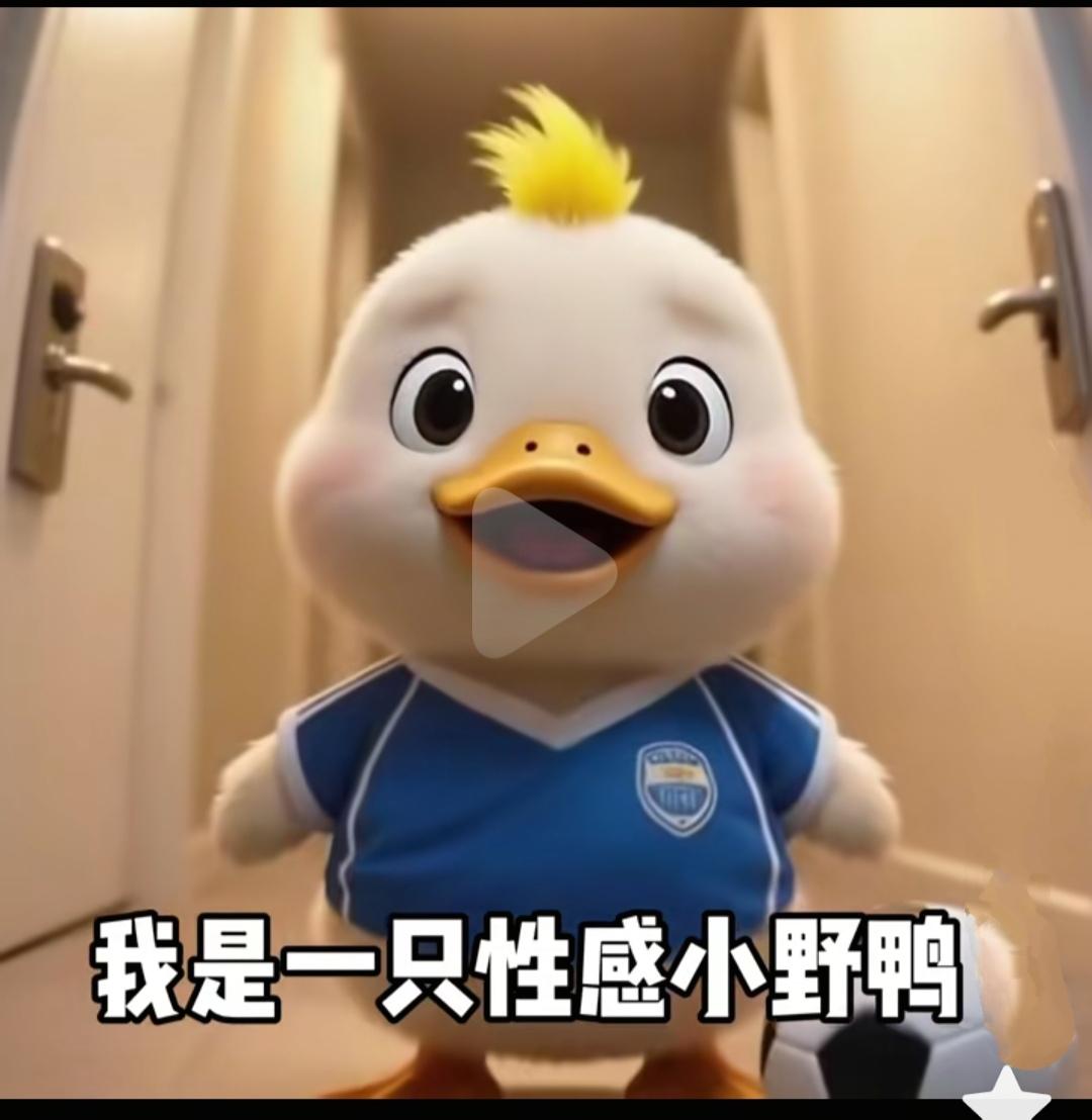 南京队为什么在抖音形象是一只鸭子，头上还有小黄毛？因为腾帅在苏超射手排第一！
